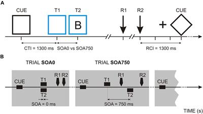 Neural Correlates of Aging-Related Differences in Pro-active Control in a Dual Task